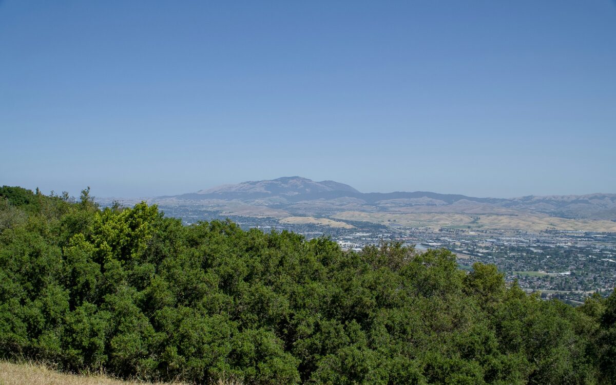 Green hills below Mount Diablo near Walnut Creek